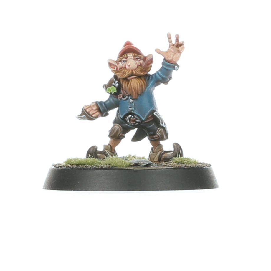 GW 1620 Divers Blood Bowl : Gnome Team