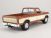 100420 Ford F150 Pick-Up 1979